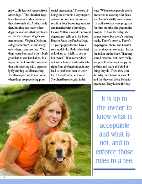 Article by Soren Robinson